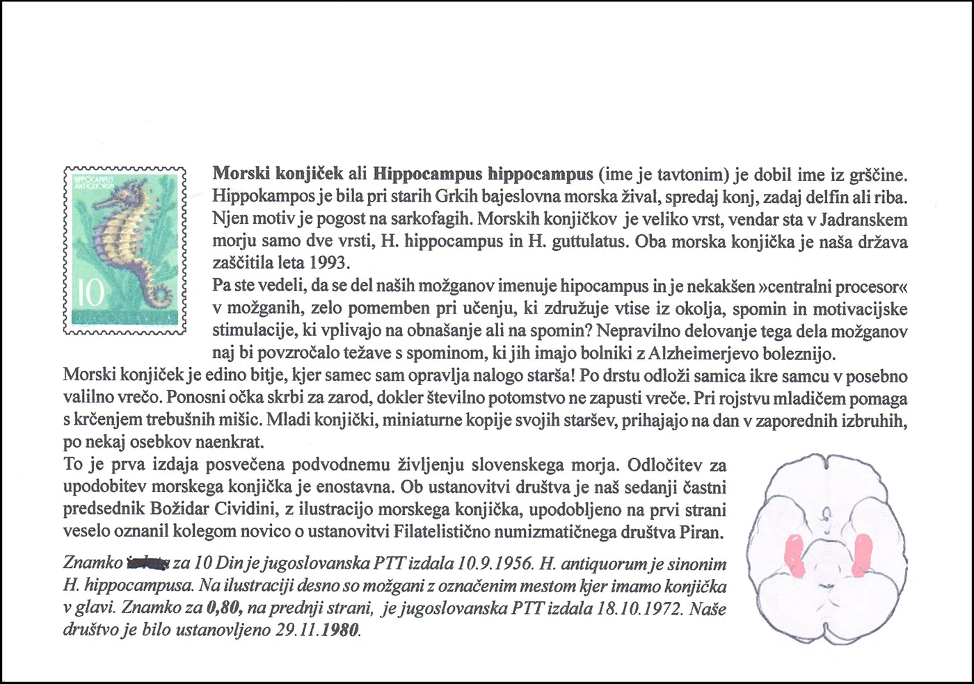 SLOVENSKO MORJE